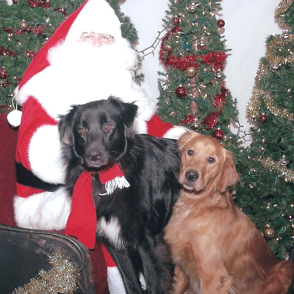 Meet your Posher, Sally